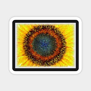 Sunflower Magic Magnet