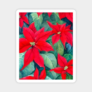 Poinsettias Magnet