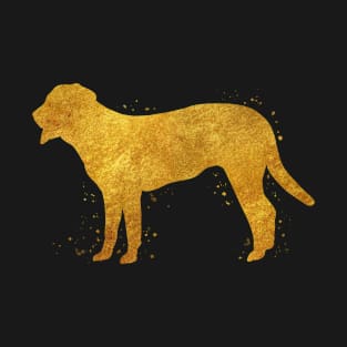 Swiss Mountain dog golden art T-Shirt