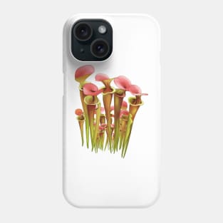 Gardening Sarracenia Pitcher plant Carnivorous plant Phone Case