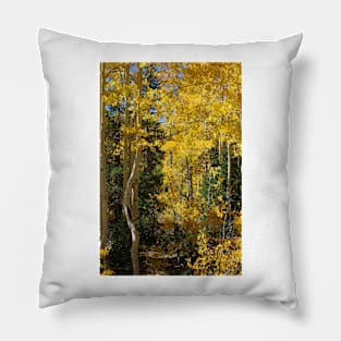 Changing Seasons Pillow