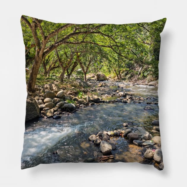 Mountain Stream, Jasaan, Misamis Oriental, Mindanao, Philippines Pillow by Upbeat Traveler