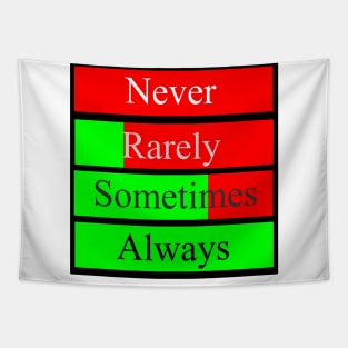 Never Rarely Somitimes Always Tapestry