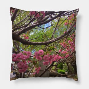 Pink Blossoms Pillow