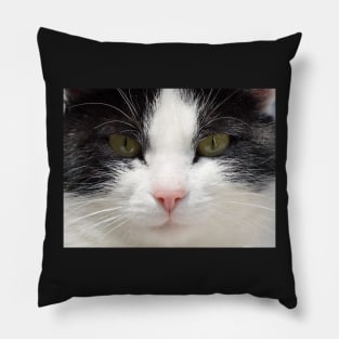 Black and White Cat Face, Gifts Cat Lovers Pillow