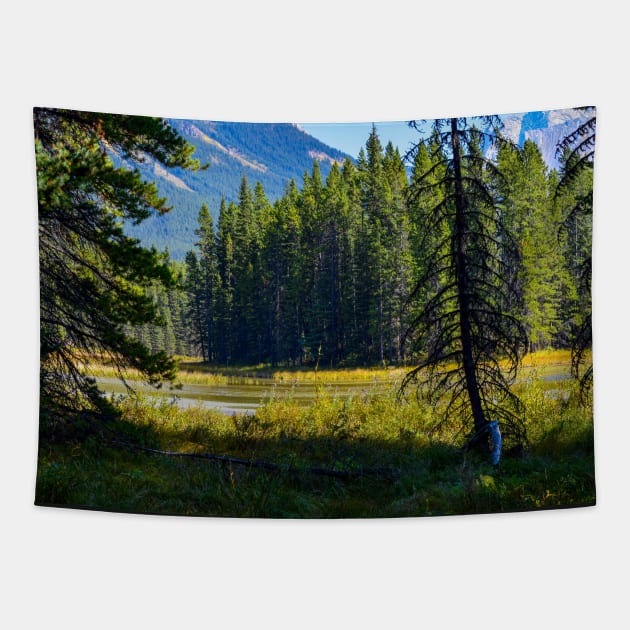 Morning Sun. Tapestry by CanadianWild418