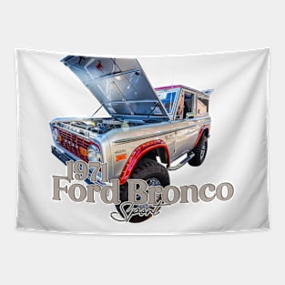 1971 Ford Bronco Sport Tapestry