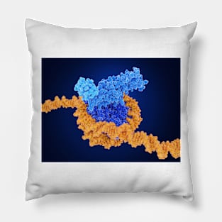 Histone methylation, molecular model, (F035/7250) Pillow