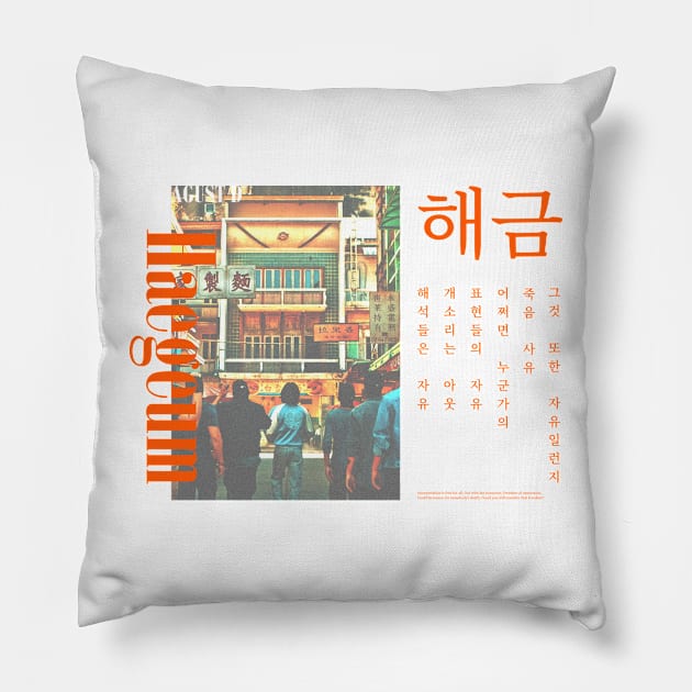 Haegeum A5 Pillow by ZoeDesmedt