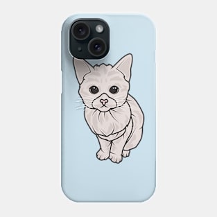 Kitten the baby cat Phone Case