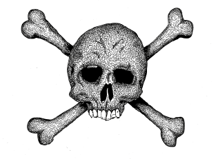 Skull and crossbones Magnet