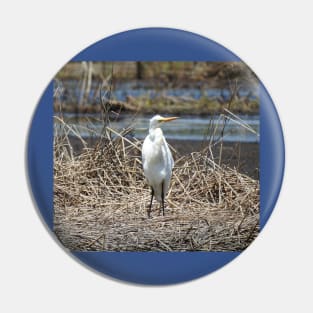 Great egret, wild birds, wildlife gifts Pin