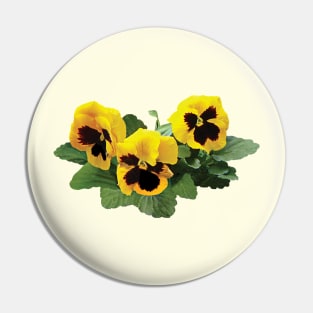 Three Yellow Pansies Pin