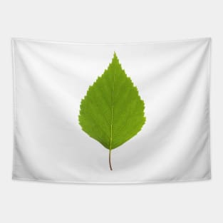Let me know if I have any Leaf Tapestry