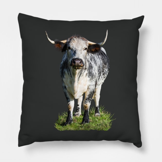 Longhorn Cow Pillow by Jane Stanley Photography