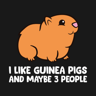 I Like Guinea Pigs And Maybe Like 3 People Funny Guinea Pig T-Shirt