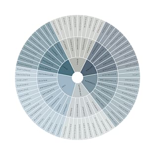 Wheel of Emotions + Feelings | British English | Junto T-Shirt