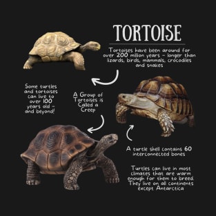 Animal Facts - Tortoise T-Shirt