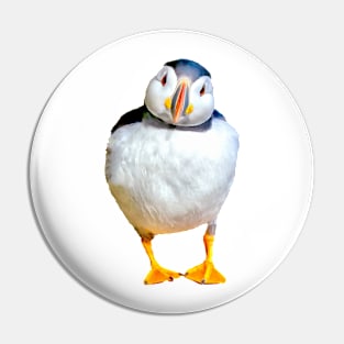 Puffin Pin