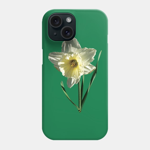 Daffodils - White Daffodil Phone Case by SusanSavad