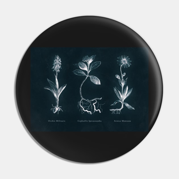 Cyanotype - Triptych 01 Pin by PixelHunter