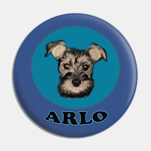 ARLO Pin