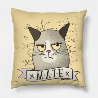 Cat Hating Mathematics - Funny Mathematics Artwork Pillow