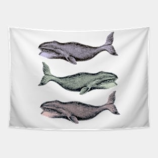 Vintage Illustrations Whale Tee Tapestry