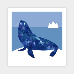 Blue sea lion Magnet