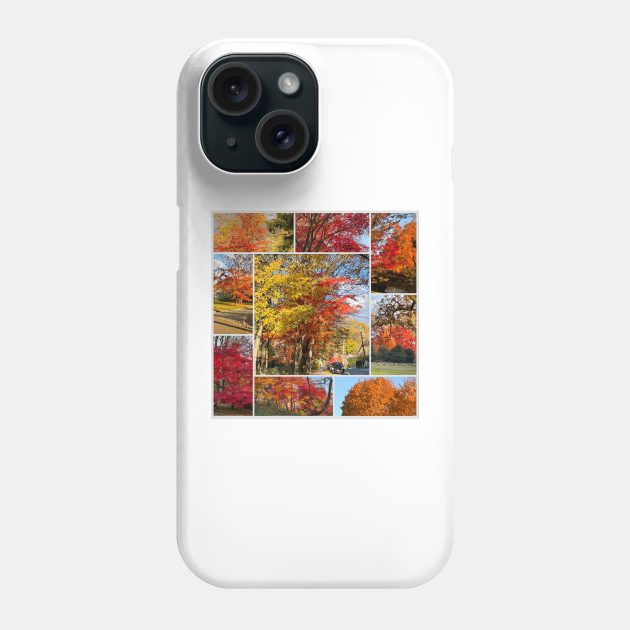 Foliage Collage Phone Case by Barschall