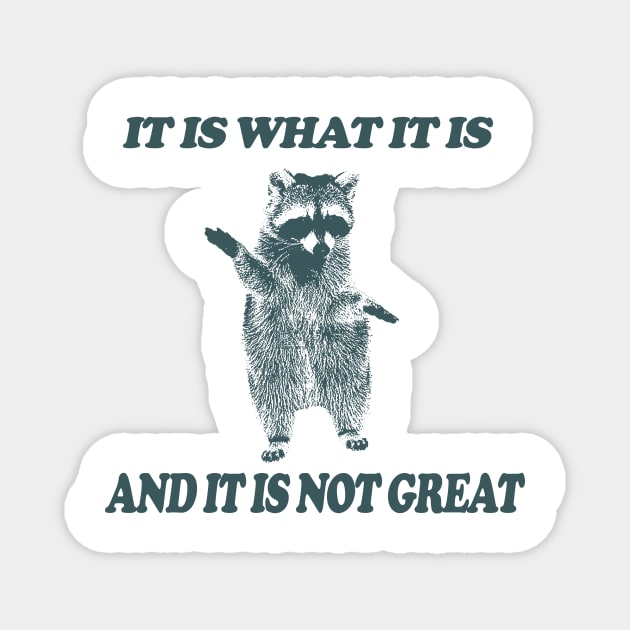 It Is What It Is And It Is Not Great - Vintage Drawing T Shirt, Raccoon Meme T Shirt, Funny Y2K Tee Shirt, Unisex Tee Magnet by Hamza Froug