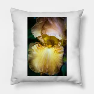 Garden Iris 1 Pillow