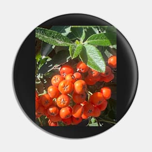 Fall Orange Berries Pin