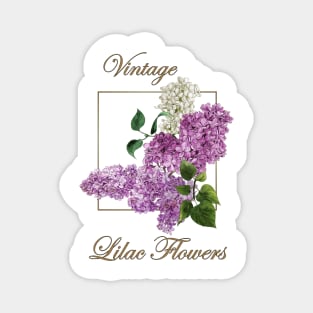 Lilacs-Spring flowers -Vintage Lilac flowers Magnet