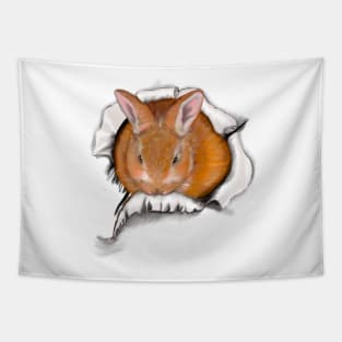 Ginger bunny rabbit bursting through hole   - cute ginger bunny rabbit white background Tapestry