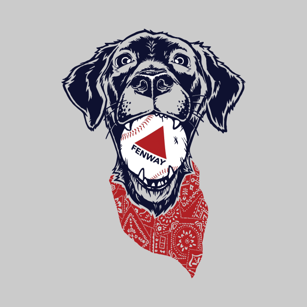 Fenway Baseball Dog by FRGStudios2020