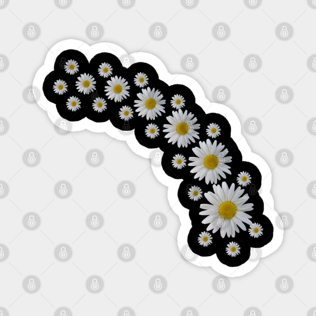 daisy flowers, blooming daisies, blooms Magnet by rh_naturestyles