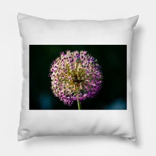 Allium Flower Close-up 7 Pillow