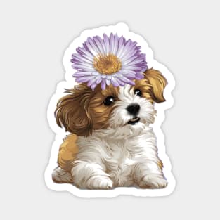 Cavachon Puppy with Purple Aster Magnet