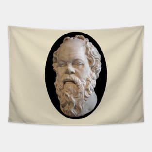 Greek Philosopher Socrates in Marble Tapestry