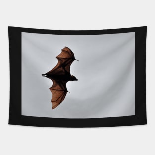 Australie - Cairns, Flying Fox Tapestry