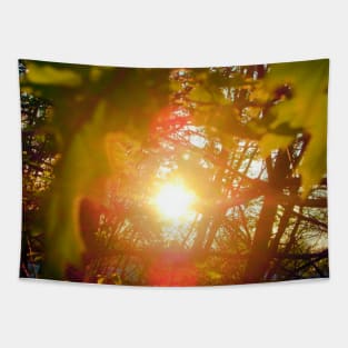 Sunset through the leaves Tapestry