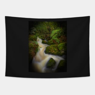 Lake District Waterfall Tapestry