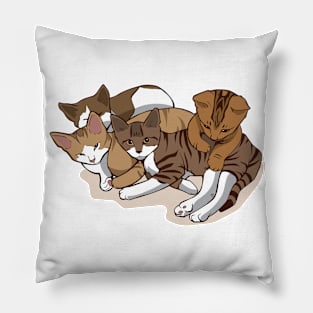 Kitty Cat's Pillow