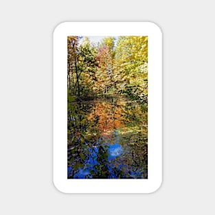 Fall Trees Magnet