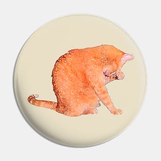 Orange Cat Washing Cute Watercolor Style Pin