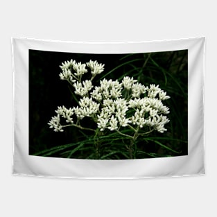 Shiny Dogwood Tapestry