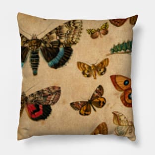 Watercolour Butterflies Pillow