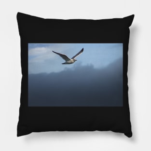 Flying about the Fog Pillow