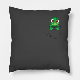 Pascal in a pocket Pillow